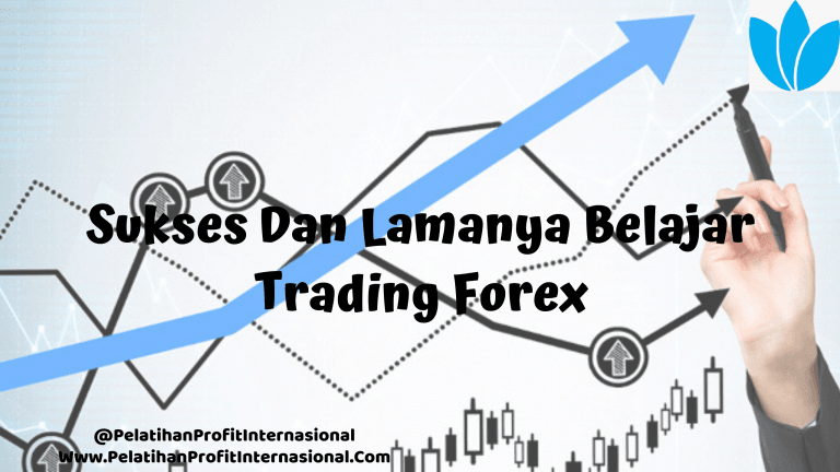 Sukses Dan Lamanya Belajar Trading Forex