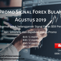 Tips Sukses Trading Dan Terhindar Dari Margin Call