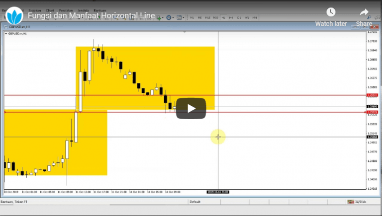 Fungsi dan Manfaat Horizontal Line