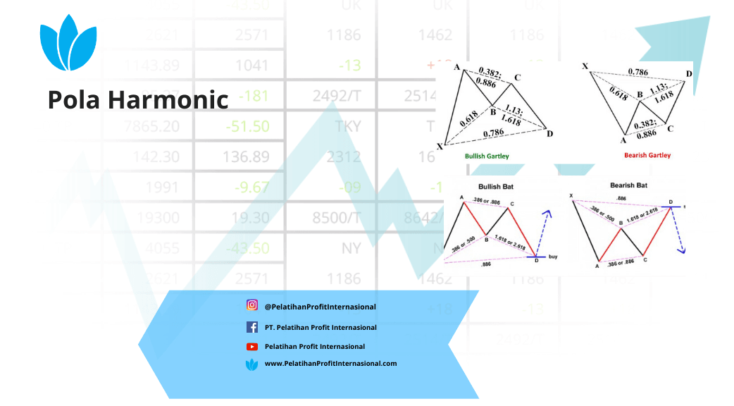 Pola Harmonic