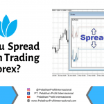 Hasil Analisa Commodity Pelatihan Profit Internasional