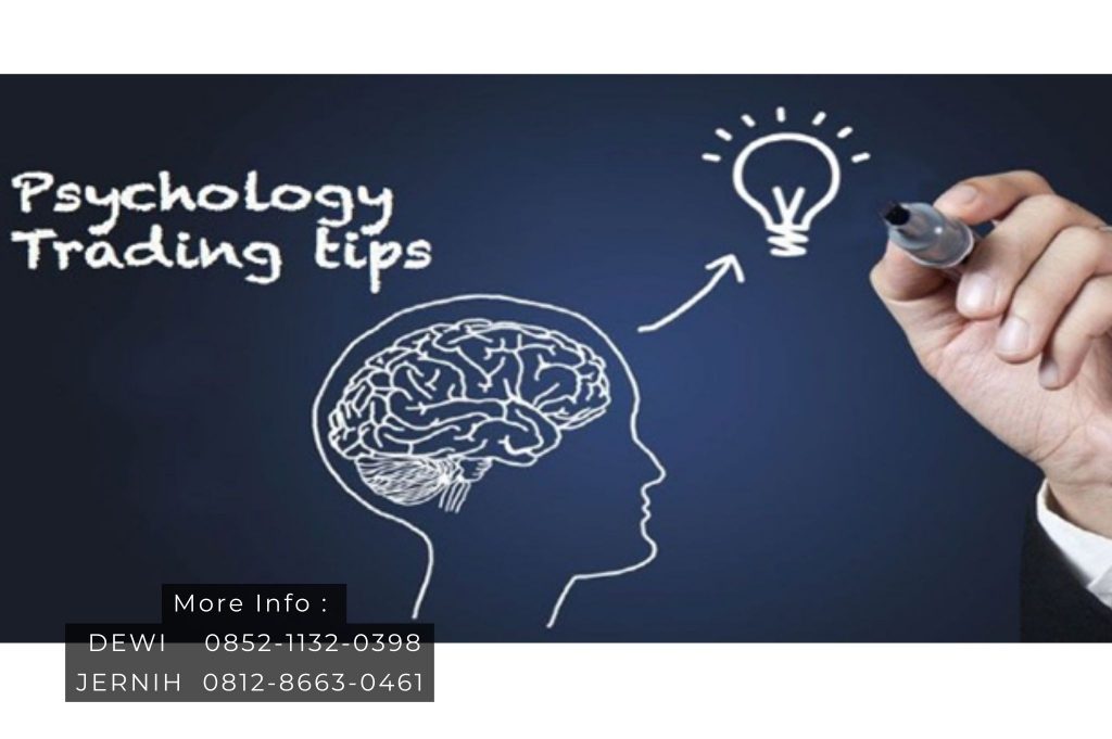 Pelatihan Trading Forex